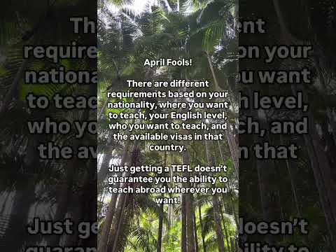 The ONE thing you need to teach abroad 🌍