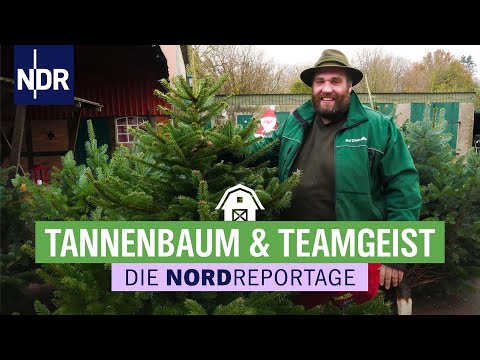 Hauptsaison Vorweihnachtszeit: Eine Familie und ihre x-mas-Bäume | Die Nordreportage