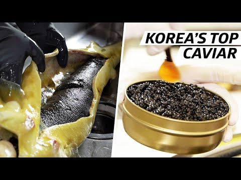 How Cheol Hong Park Produces Some of Korea's Finest Caviar — Vendors
