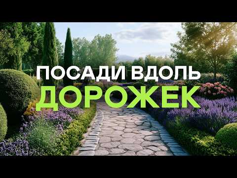 The Garden Will Be a Bomb! 30 Best Pathway Perennials