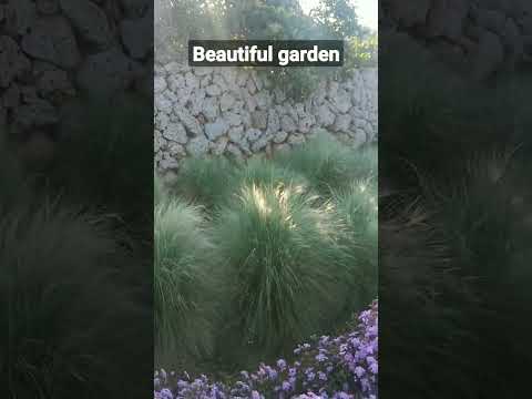 beautiful garden🌾🌾🌾🌾