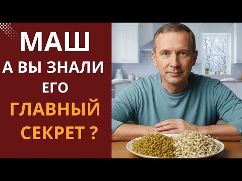 Маш: ешьте правильно — и поймёте, почему его зовут бобом долголетия!