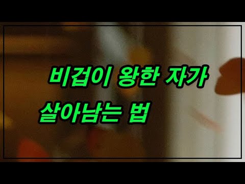 비겁이 왕한 사람이 살아가는 방법은..