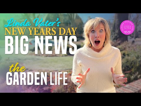 New Years Day Big Announcement with Linda Vater