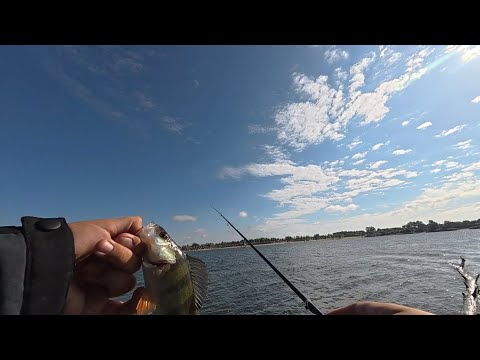 Azura safina light game s64ul 0.3-4 грамм обзор спиннинга, первое знакомство с ультралайтом.