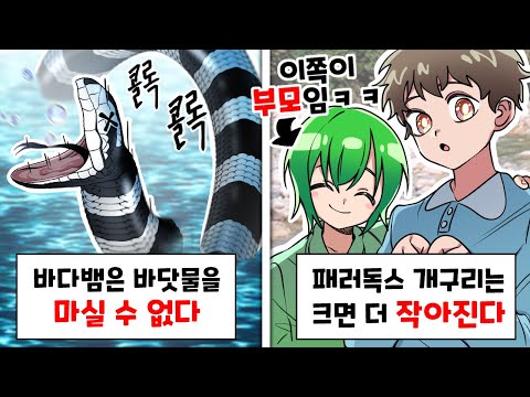 아니 이게 왜 진짜인건데 ㅋㅋㅋ [이왜진 동물 월드컵]