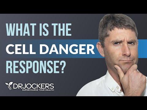 The Secret Key to Cellular Healing and Mitochondrial Health