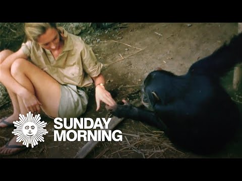 Passage: Remembering Jane Goodall