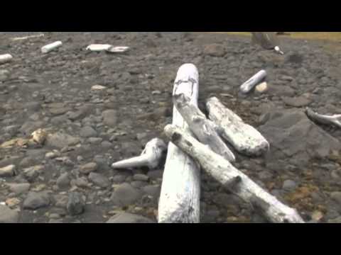 По следам Двух капитанов