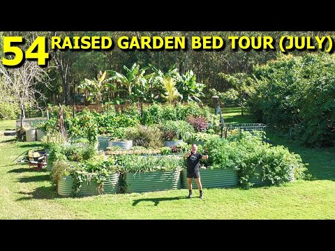 ALL 54 Raised Veggie Garden Beds Walk Around Tour (JULY)