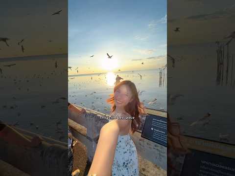 Thank god they didn’t 💩 on my head 😂📍Bang Pu Recreation Centre #thailand #bangkok #hiddengem