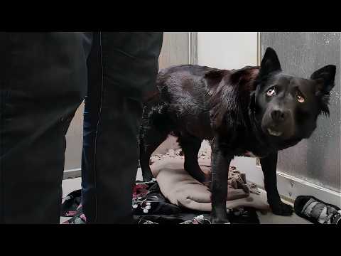 Watch what happens when I change her name from Venom to Honey