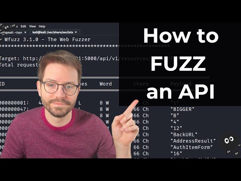 Hacking APIs: Fuzzing 101