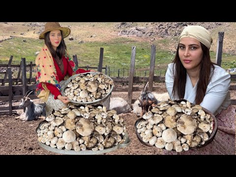 Forest Bounty to Table: A Simple Vegetarian Mushroom Delight