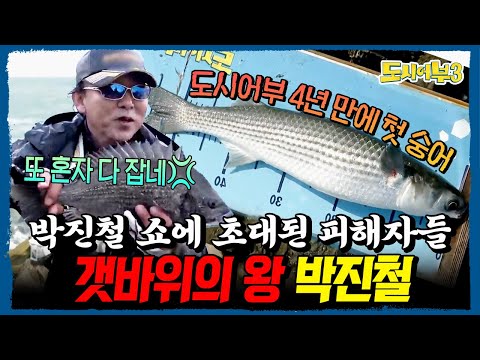 감성돔부터 도시어부 첫 숭어까지?!💥 갯바위의 왕! 박진철 쇼에 초대된 도시어부 피해자들 속출⚠️ | #도시어부3 9회