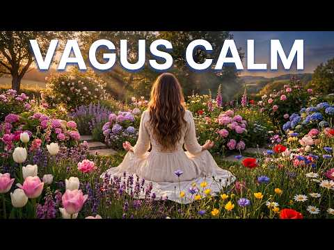 Vagus Nerve Calm | 3 Hours of Deep Vagal Tone Saturation for Nervous System Healing (4K)