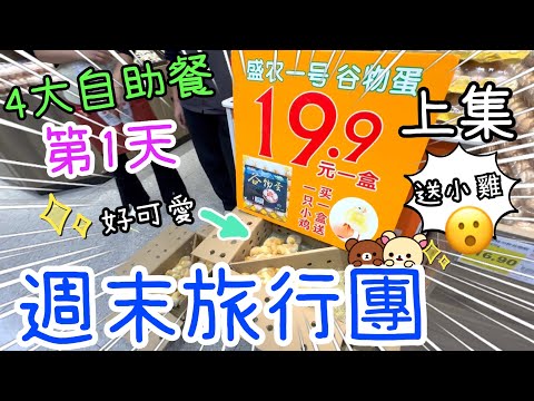 週末旅行團第1天上集～4大自助餐🤣赤松宮山水豆腐花😋廣州科爾海悅酒店Room Tour👀m&m朱古力自動販賣機🍫買雞蛋送雞仔🐥13-12-2025