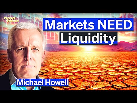 Liquidity Is Breaking And The Economy Is Next | Michael Howell