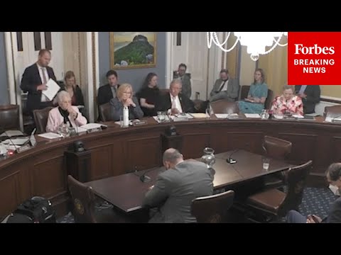 Republicans & Democrats Debate Law To Block Non-Citizens From Voting In D.C. | House Rules Committee