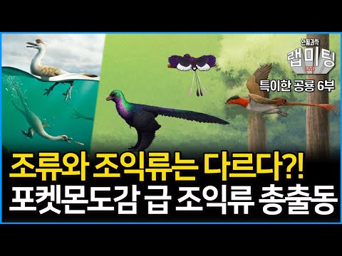 조류와 조익류는 어떻게 다를까?! 공룡책에서도 보지 못한 신기한 조익류 총출동! 뭐 이런 공룡이 다있어! 6부