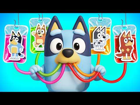 What Happened to Bluey?/ How to Become Bluey and Bingo in Real Life!