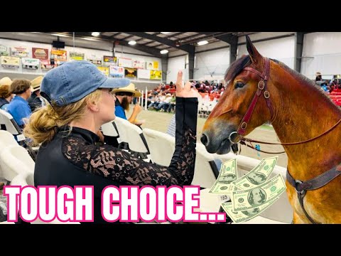 WE BOUGHT AN AUCTION HORSE!!! But Which One?!