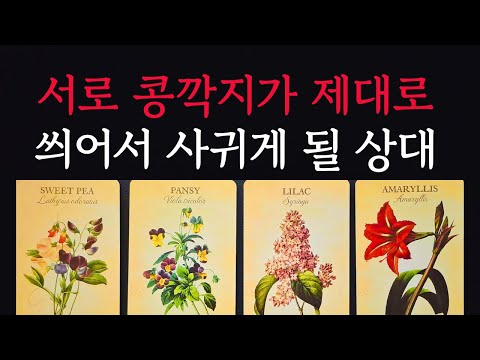 [타로/연애운]🔥서로 콩깍지가 씌어 사귀게 되는 특별한 내 남친 여친 연인💗상대방 외모 성격 특징 연애성향 속마음 만나는 장소 계기🌹썸 짝사랑 재회 솔로 고백 연락 타로💖