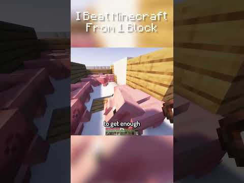 Part 22. I Beat Minecraft From 1 Block