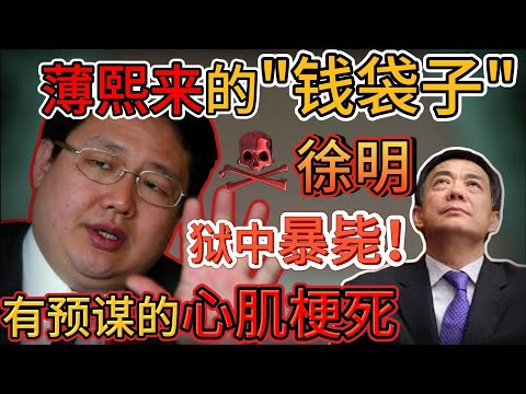 老王来了：薄熙来的“钱袋子”徐明，狱中离奇暴毙！｜心肌梗死背后的凶手浮出水面｜徐明最后犯了什么致命错误？｜
