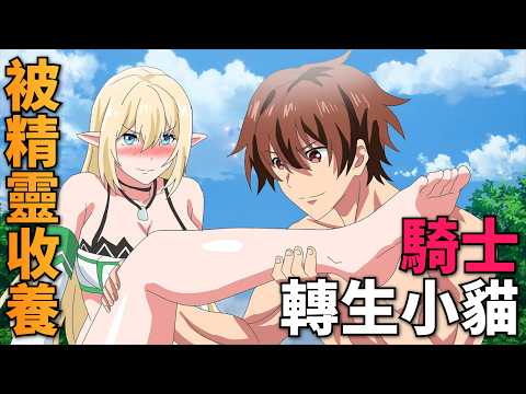騎士轉生最強魔獸幼崽,被精靈大姐姐當成小貓收養!一口氣看完!一月新番12話完整版