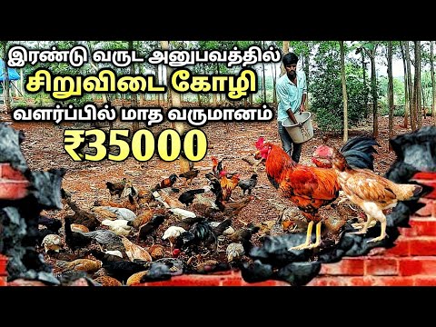 இரண்டு வருட அனுபவம் சிறுவிடை கோழி வளர்ப்பில் மாதம் 35000 வரை வருமானம் | madurai desi chicken farm
