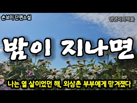 손보미/니네 엄마랑 아빠는 어디에 있는데? 너도 장례식에 갔었니/책읽어주는여자 