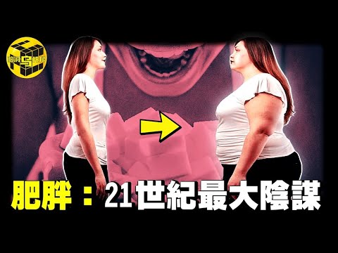 為什麼越窮的人越胖？“胖”並不是因為吃得多，而是廉價食品裡都含有“它”！21世紀最大陰謀，資本巨頭是如何操控窮人的一生的？[She's Xiaowu 小烏]