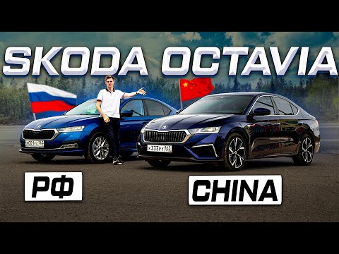 Different cars?! The Chinese Octavia PRO vs. the Russian (European) version