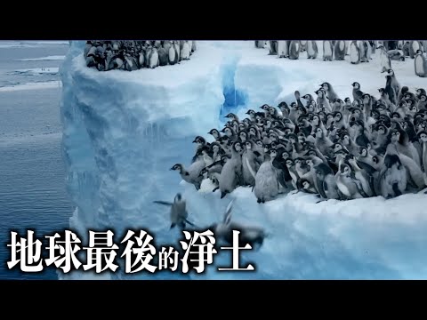 禁止南極開采的真正原因！｜地球之最