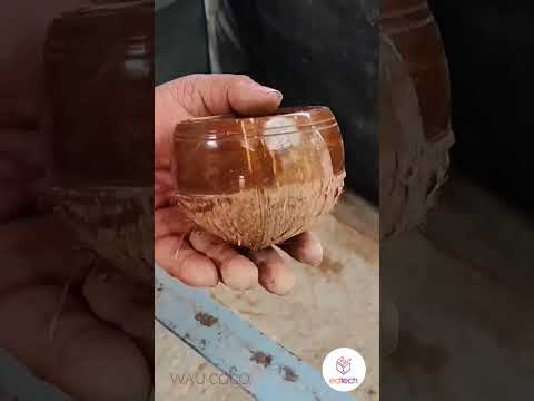 #ecofriendly Coconut Shell Lamp DIY Home Decor #diy #decor #lamp #cocount #viral #trending