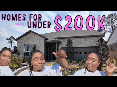 UNDER $200K?! In 2025?! In Houston?! Be Serious