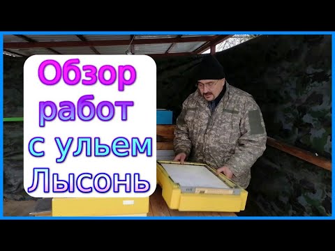 ❤ Мой опыт работ с ульем Лысонь (Lyson) ❤