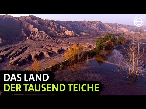 Wild Germany – Lusatia | Experience Earth