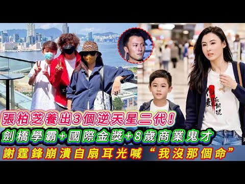 張柏芝14年隱忍養出3個天才兒子！當眾撕碎王菲假面具，謝霆鋒跪地自扇耳光。