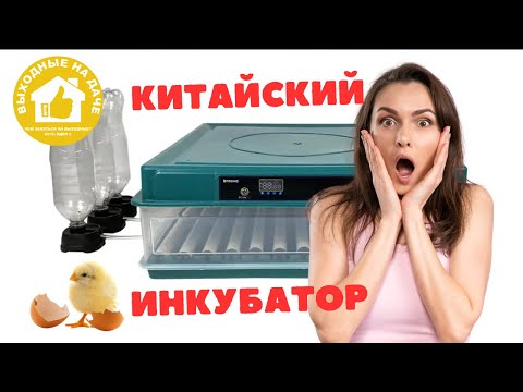 Incubator with automatic egg 🐣🐤🐥 turning