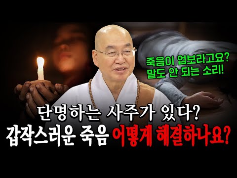 단명하는 사주가 있다? 갑작스러운 죽음, 어떻게 대처해야 할까요?│'법륜스님' 편🙏 [명법문만 모았다! 명중명💡] #법륜스님 #즉문즉설 #사후세계