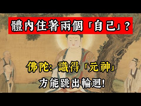 體內住著兩個 「自己」？佛陀：識得 「元神」，方能跳出輪迴！#佛學 #佛教 #佛說阿彌陀經 #佛說