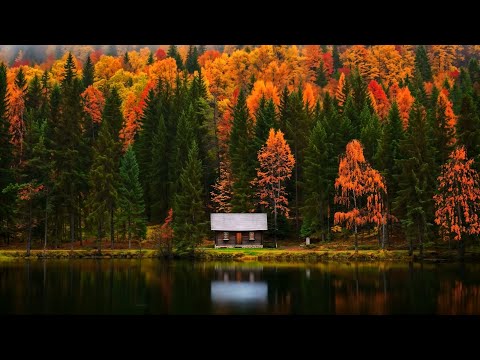 Autumn Forest, Beautiful Relaxing Music 🍁 Autumn Music For Stress Relief, Calm Nervous, Relaxation