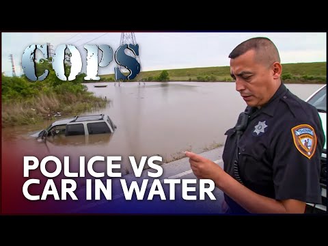 COPS MOST BIZARRE CASE: Driver Submerges Car in Water and Can't Speak