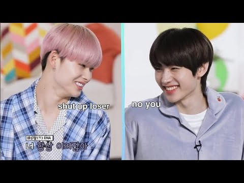 sunghoon and ni-ki exuding sibling energy