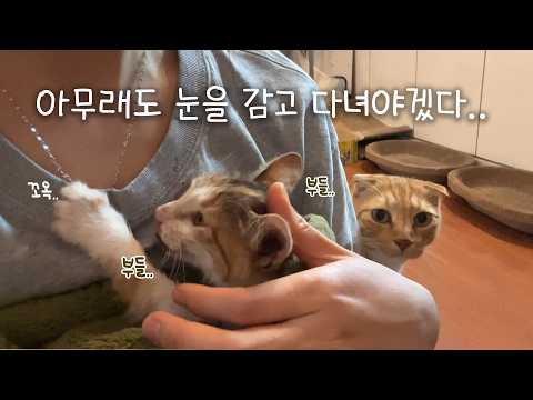 아무래도 눈을 감고 다녀야겠다..