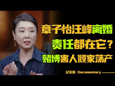 章子怡汪峰为何离婚？赌博如何毁掉一个家庭！#圆桌派 #许子东 #马家辉 #梁文道 #锵锵行天下 #观复嘟嘟 #马未都