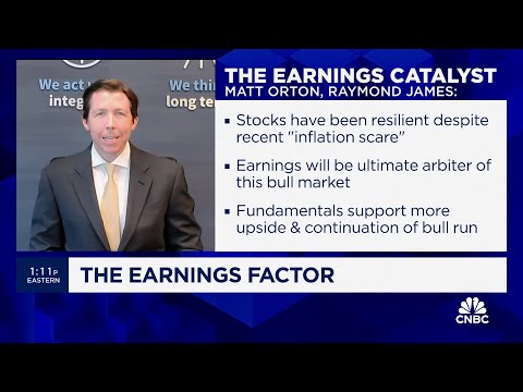 Earnings remain 'key catalyst' that will keep bull market going, says Raymond James' Matt Orton
