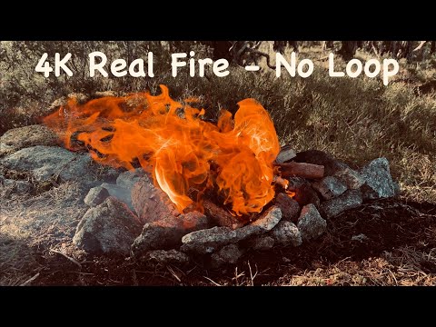 4K Spring Campfire in Norwegian Forest | Real Fire & Birdsong for Relaxation & Focus (No Music)